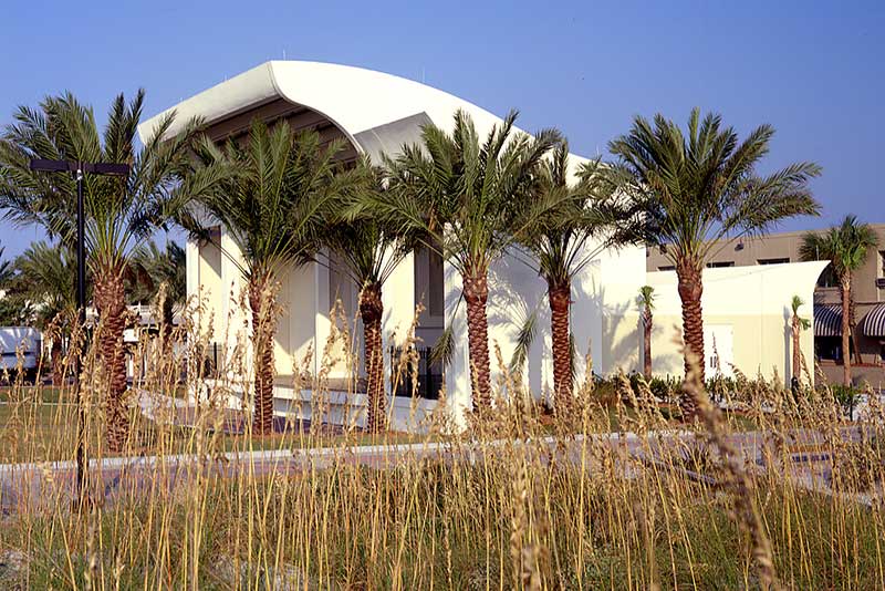 Exterior photo of Sea Walk Pavilion. Palm trees and tall grass obscure the view of the building.